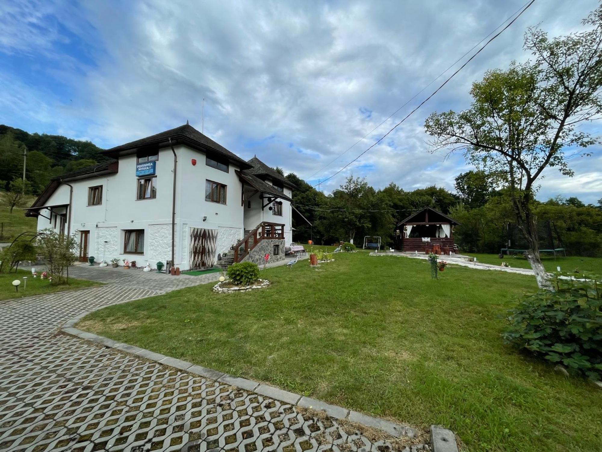 Pensiunea Nituca Moisei Exterior foto