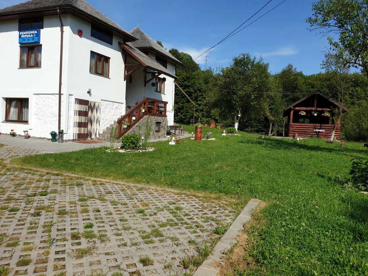 Pensiunea Nituca Moisei Exterior foto